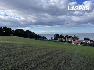 Αγροτεμάχια 40.000 τ.μ. για πώληση