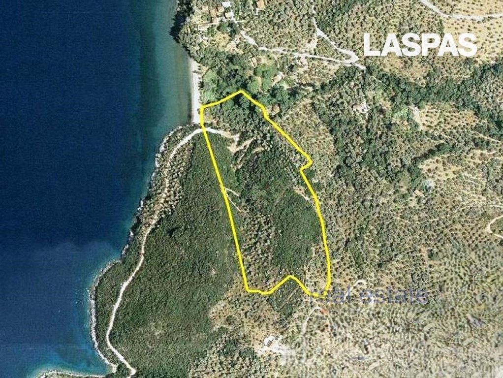 Αγροτεμάχια 54.000 τ.μ. πρός πώληση, Μαγνησία, Αργαλαστή