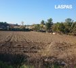 Αγροτεμάχια 14.157τ.μ. για πώληση-Κασσάνδρα