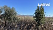 Parcel 1.150sqm for sale-Kassandra