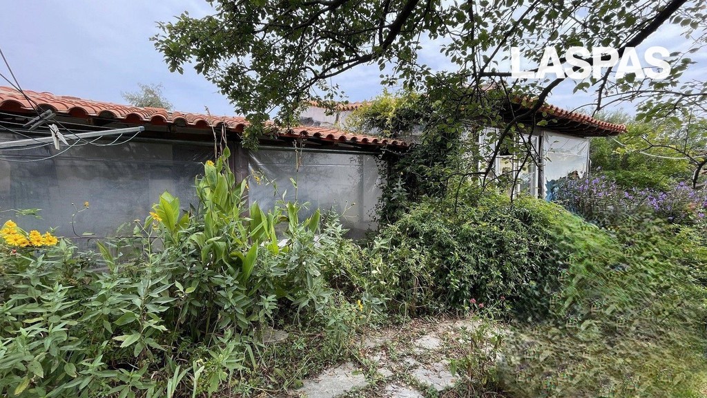 Μονοκατοικία 70 τ.μ. προς πώληση, Νέα Σκιώνη