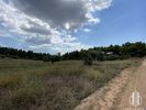 Αγροτεμάχια 28.000τ.μ. για πώληση-Κασσάνδρα