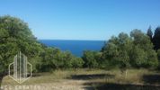 Αγροτεμάχια 9.500τ.μ. για πώληση-Κασσάνδρα