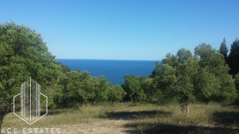 Αγροτεμάχια 9.500 τ.μ. για πώληση, Χαλκιδική, Κασσάνδρα