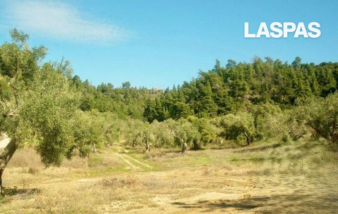 Αγροτεμάχια 16.047 τ.μ. για πώληση, Χαλκιδική, Παλλήνη