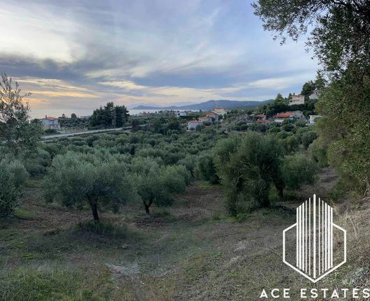 Αγροτεμάχια 6.350 τ.μ. για πώληση, Χαλκιδική, Παλλήνη