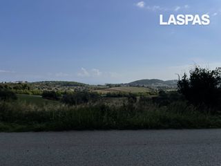 Αγροτεμάχια 6.000 τ.μ. για πώληση