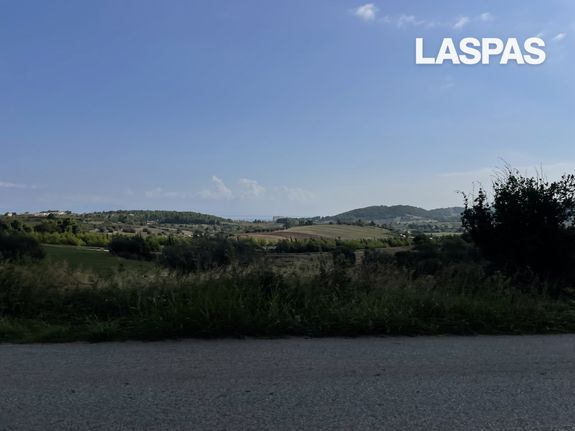 Αγροτεμάχια 6.000 τ.μ. για πώληση, Χαλκιδική, Κασσάνδρα