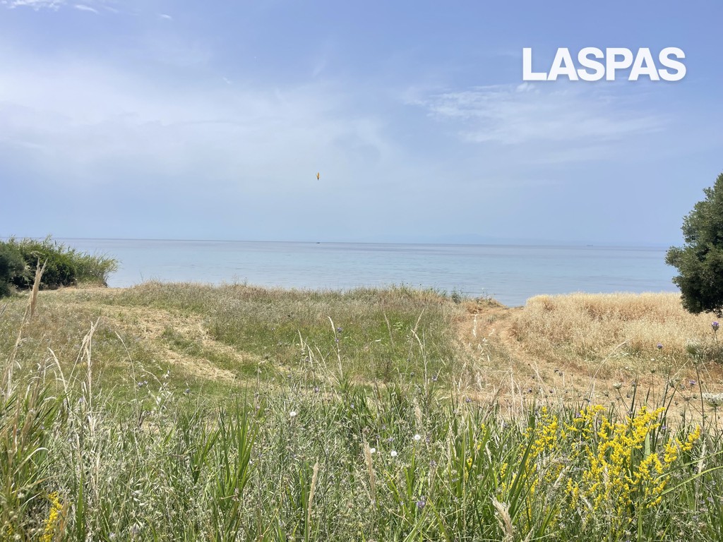 Αγροτεμάχια 14.300 τ.μ. προς πώληση, Νέα Σκιώνη