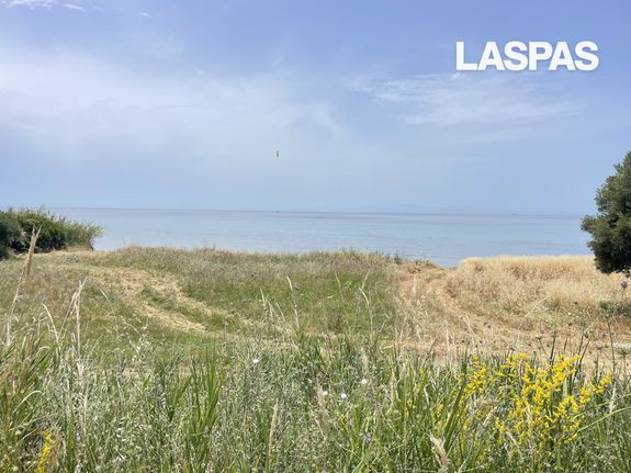 Αγροτεμάχια 24.000 τ.μ. για πώληση, Χαλκιδική, Παλλήνη