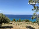 Αγροτεμάχια 4.590,6τ.μ. για πώληση-Κασσάνδρα