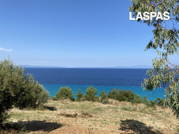Αγροτεμάχια 4.590,60 τ.μ. για πώληση, Χαλκιδική, Κασσάνδρα