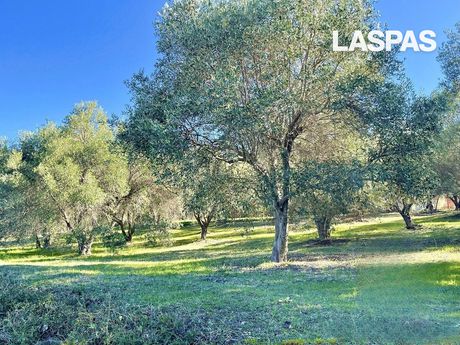 Αγροτεμάχια 5.471 τ.μ. προς πώληση