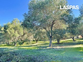 Αγροτεμάχια 5.471 τ.μ. για πώληση