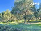 Αγροτεμάχια 5.471τ.μ. για πώληση-Κασσάνδρα