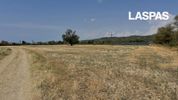 Αγροτεμάχια 9.278τ.μ. για πώληση-Κασσάνδρα