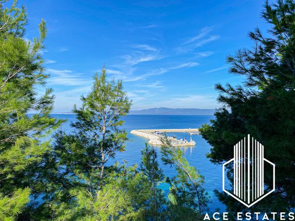 Αγροτεμάχια 6.500 τ.μ. για πώληση, Χαλκιδική, Παλλήνη