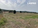 Αγροτεμάχια 10.000τ.μ. για πώληση-Κασσάνδρα