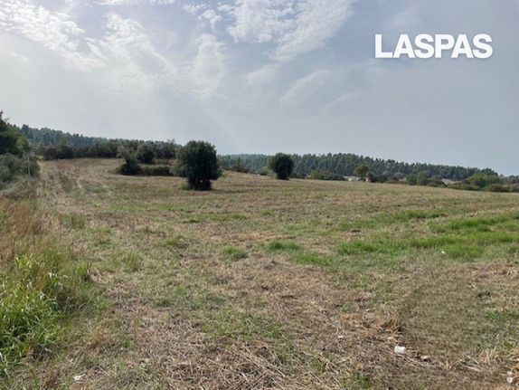 Αγροτεμάχια 10.000 τ.μ. για πώληση, Χαλκιδική, Κασσάνδρα