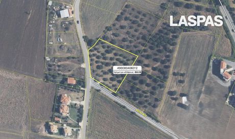 Parcel 3.500sqm for sale-Kassandra
