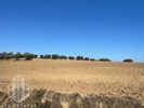 Parcel 14.500sqm for sale-Kassandra