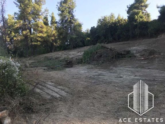 Αγροτεμάχια 4.142 τ.μ. για πώληση, Χαλκιδική, Κασσάνδρα
