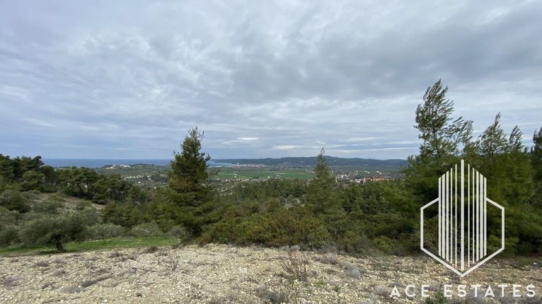 Αγροτεμάχια 2.800 τ.μ. για πώληση, Χαλκιδική, Κασσάνδρα