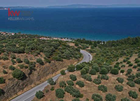 Αγροτεμάχια 1.215τ.μ. για πώληση-Σιθωνία