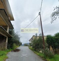 Κτίριο 330 τ.μ. για πώληση, Μαγνησία, Πτελεός-thumb-1