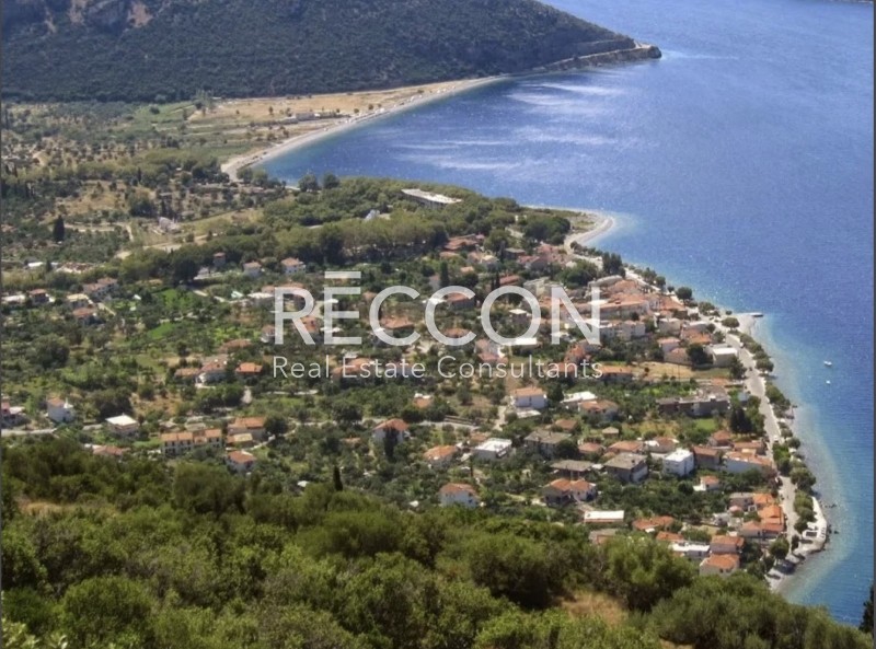 Αγροτεμάχια 30.940 τ.μ. προς πώληση, Παραλία Σεργούλας