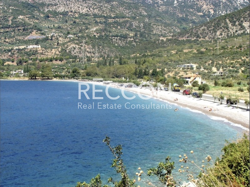 Αγροτεμάχια 30.940 τ.μ. προς πώληση, Παραλία Σεργούλας