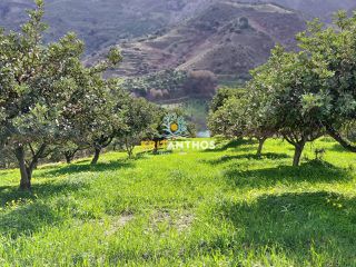 Οικόπεδο 43.365 τ.μ. για πώληση