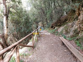 Οικόπεδο 43.365 τ.μ. για πώληση, Ν. Ρεθύμνου, Σίβριτος-thumb-45