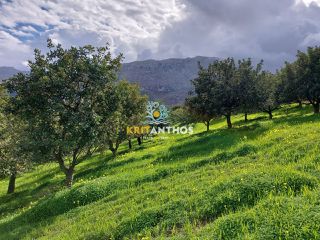 Οικόπεδο 43.365 τ.μ. για πώληση, Ν. Ρεθύμνου, Σίβριτος-thumb-12