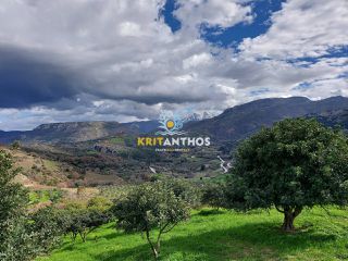 Οικόπεδο 43.365 τ.μ. για πώληση, Ν. Ρεθύμνου, Σίβριτος-thumb-14