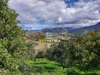 Οικόπεδο 43.365 τ.μ. για πώληση, Ν. Ρεθύμνου, Σίβριτος-thumb-32