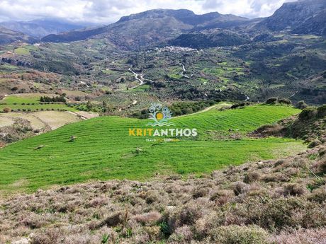 Land plot 51.000sqm for sale-Sivritos » Patsos