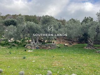 Οικόπεδο 13.500 τ.μ. προς πώληση, Παραλία Φηγιά-thumb-4