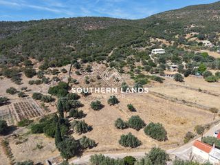 Οικόπεδο 13.500 τ.μ. προς πώληση, Παραλία Φηγιά-thumb-14