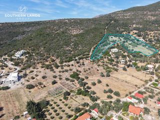 Οικόπεδο 13.500 τ.μ. προς πώληση, Παραλία Φηγιά-thumb-1