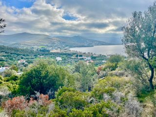 Οικόπεδο 13.500 τ.μ. για πώληση