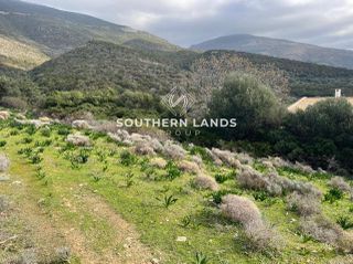 Οικόπεδο 13.500 τ.μ. προς πώληση, Παραλία Φηγιά-thumb-5