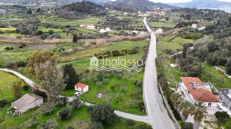 Οικόπεδο 8.173,28 τ.μ. προς πώληση, Παλική