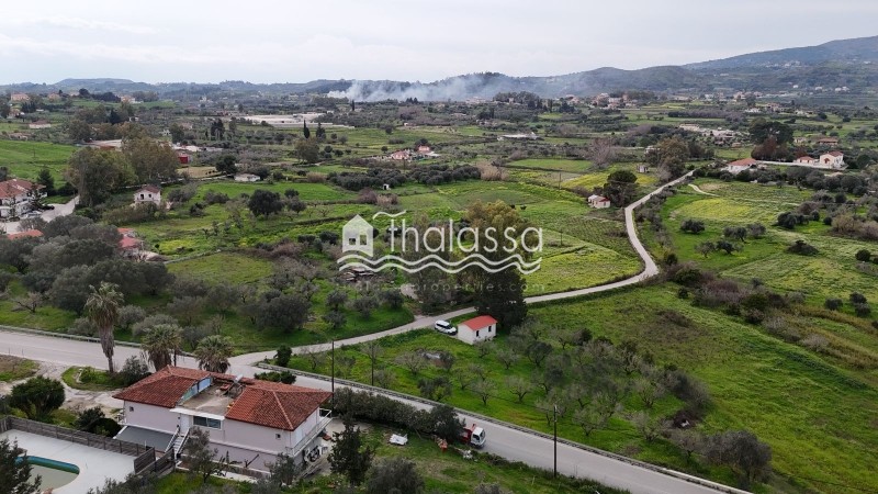 Οικόπεδο 8.173,28 τ.μ. προς πώληση, Παλική