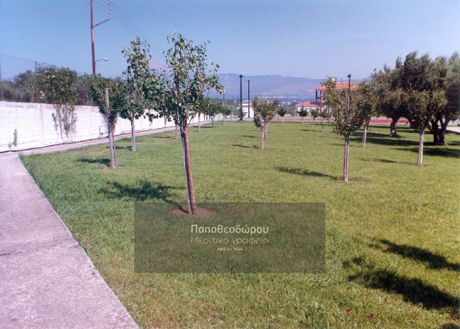 Οικόπεδο 4.646τ.μ. για πώληση-Ρίο