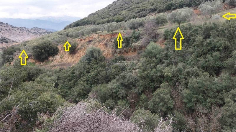 Αγροτεμάχια 20.138 τ.μ. πρός πώληση, Μαγνησία, Αισωνία