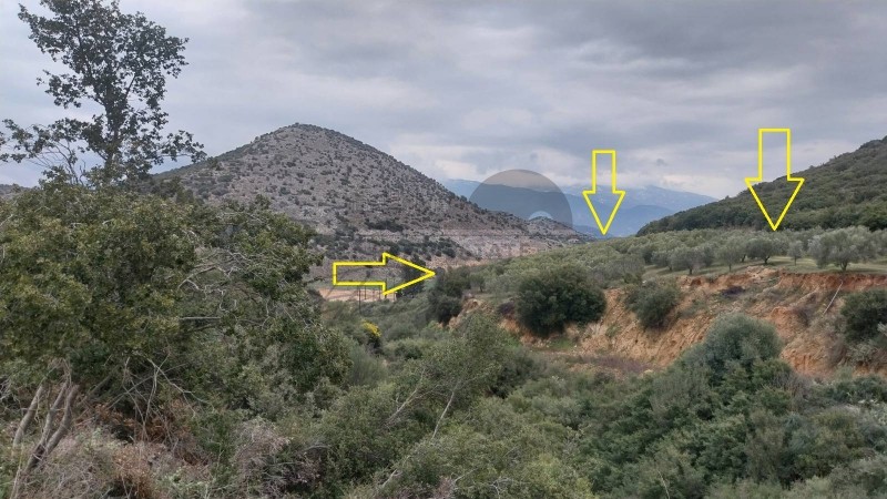 Αγροτεμάχια 20.138 τ.μ. πρός πώληση, Μαγνησία, Αισωνία