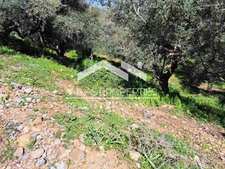 Οικόπεδο 1.630 τ.μ. για πώληση, Ν. Χανίων, Βουκολιές-thumb-24