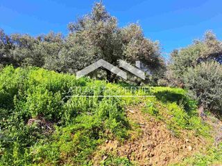 Οικόπεδο 1.630 τ.μ. για πώληση, Ν. Χανίων, Βουκολιές-thumb-22