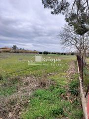 Οικόπεδο 8.000 τ.μ. πρός πώληση, Ν. Ηλείας, Πύργος-thumb-1